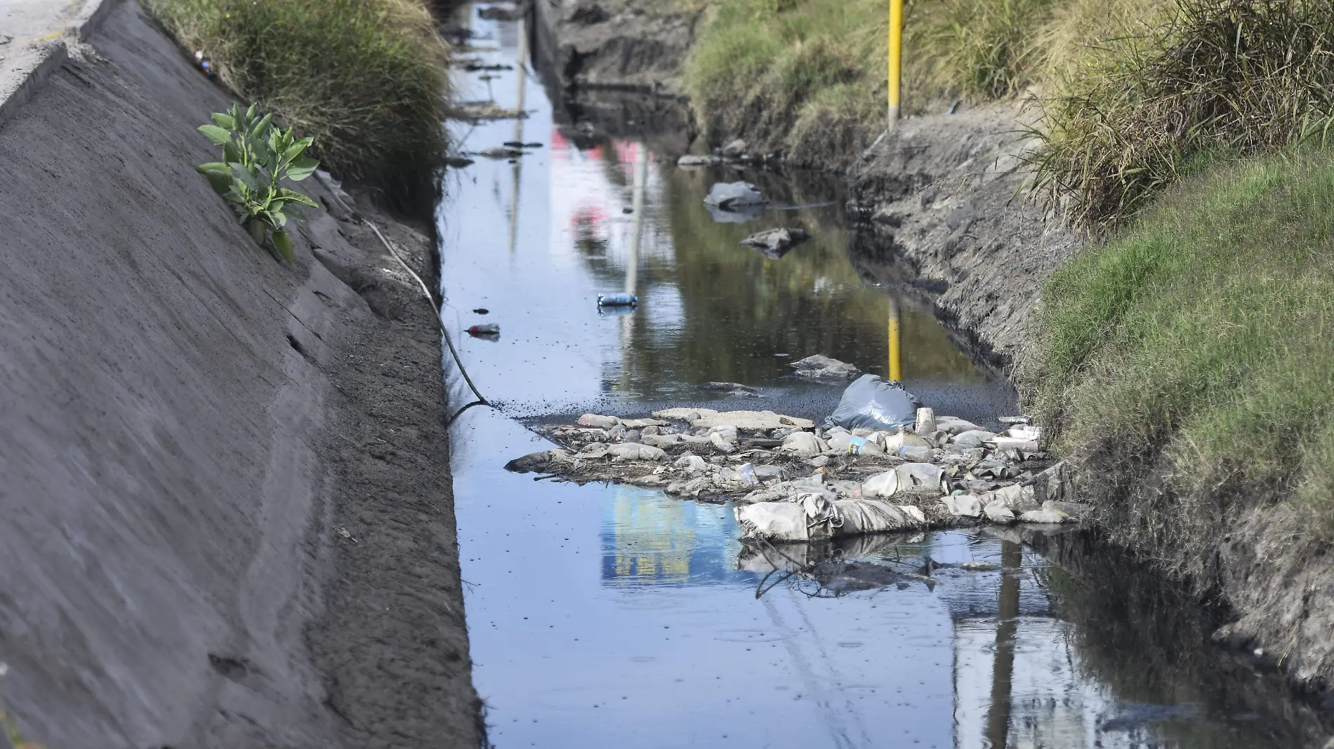 1A HA_CANAL CONTAMINACION EL MARQUES